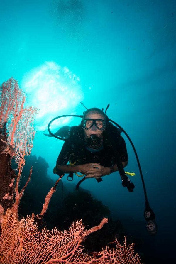 Gecko Nature Lodge Home Of Swahili Divers The Best Dive Center And Famous Gecko Restaurant Verani Exterior photo