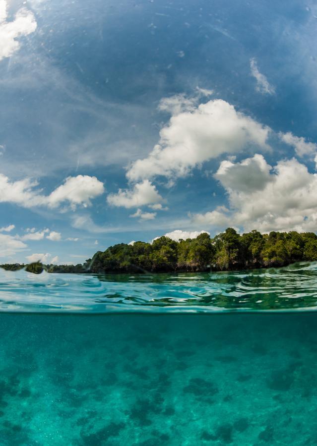 Gecko Nature Lodge Home Of Swahili Divers The Best Dive Center And Famous Gecko Restaurant Verani Exterior photo