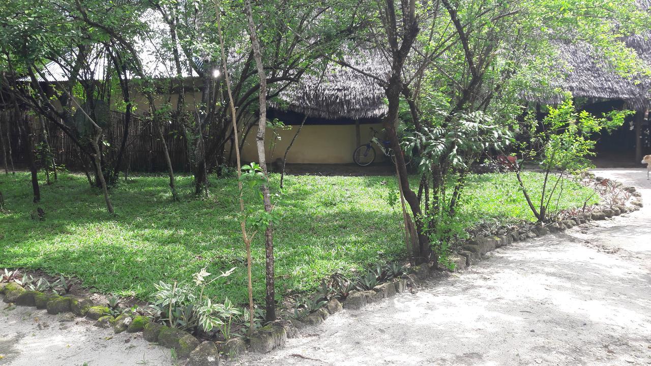 Gecko Nature Lodge Home Of Swahili Divers The Best Dive Center And Famous Gecko Restaurant Verani Exterior photo